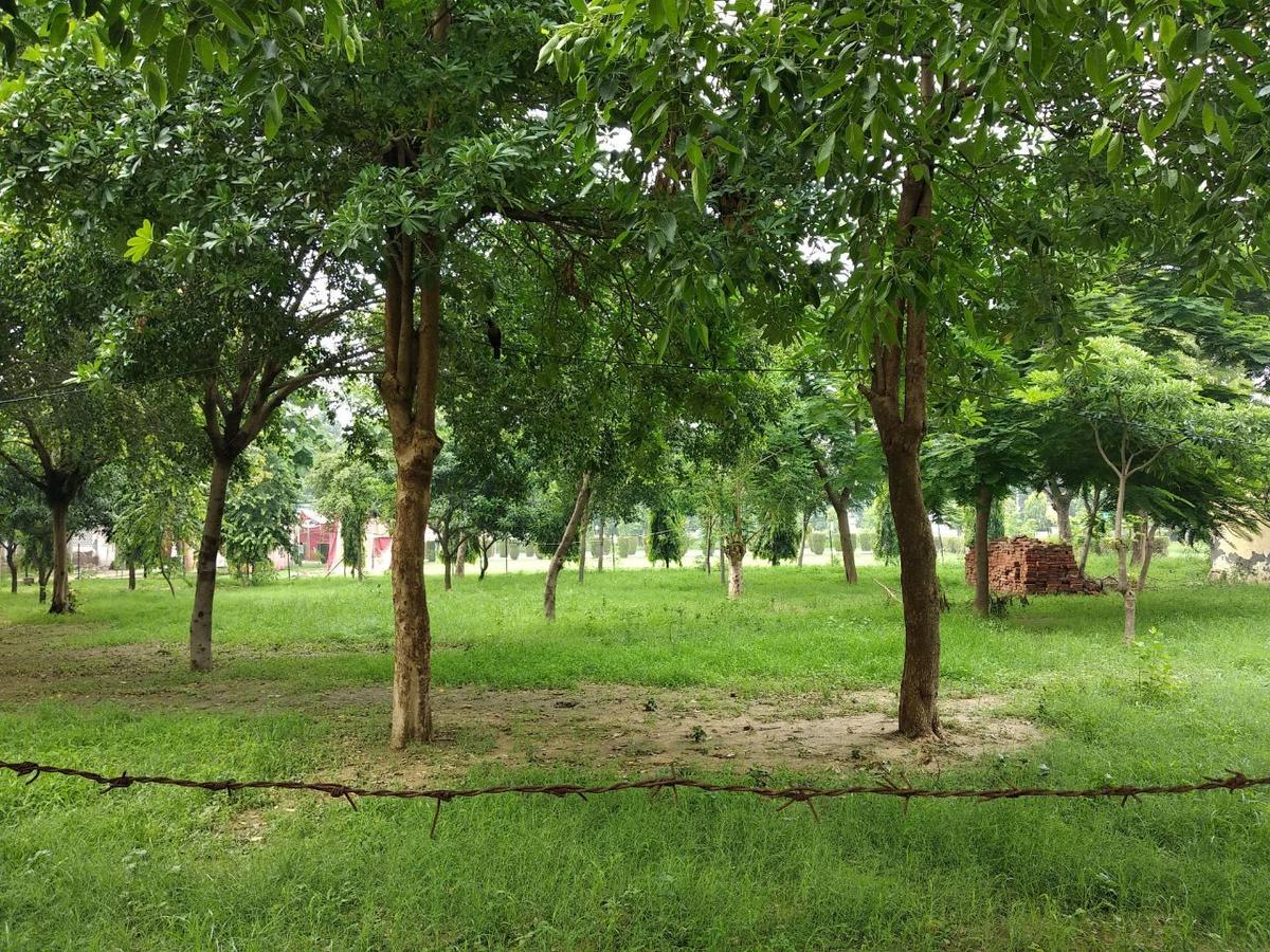 The Radiance Suites And Apartment New Delhi Buitenkant foto